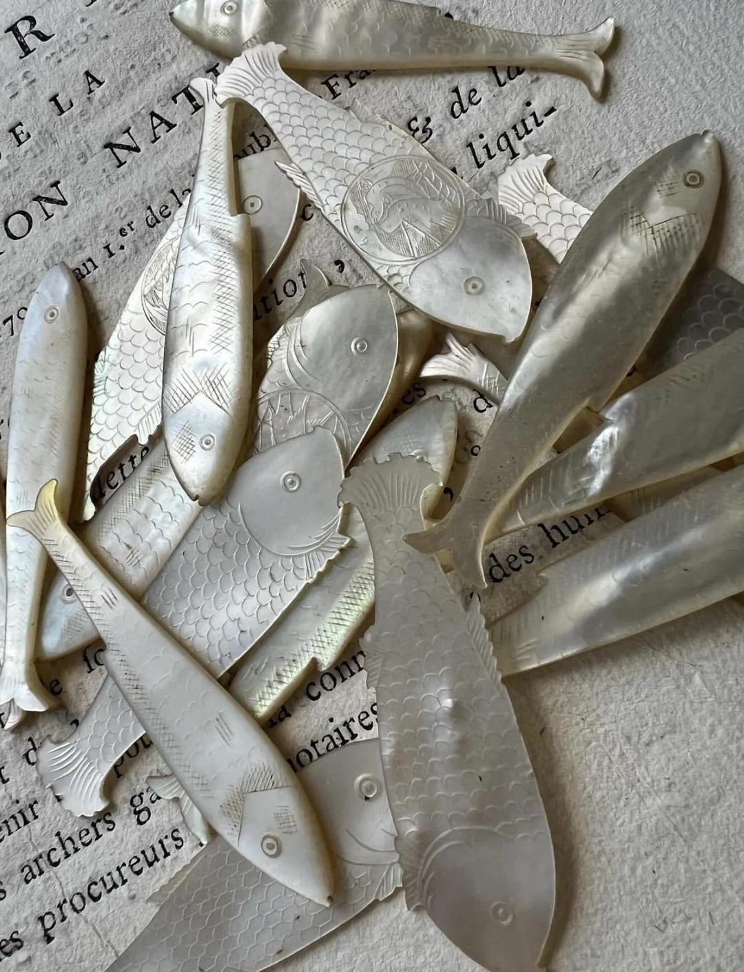 贝壳虚拟币(虚拟币贝壳是哪个直播软件)