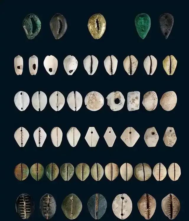 贝壳虚拟币(虚拟币贝壳是哪个直播软件) 贝壳虚拟币(虚拟币贝壳是哪个直播软件)