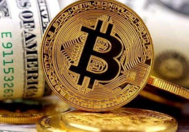 番茄虚拟币(番茄兑换人民币)