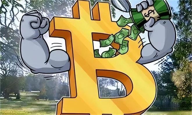 虚拟币判决(虚拟币判决书)