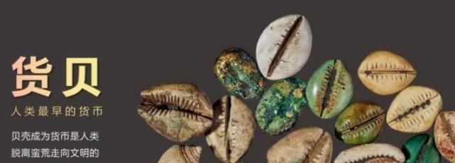 贝壳虚拟币(小贝壳虚拟币)