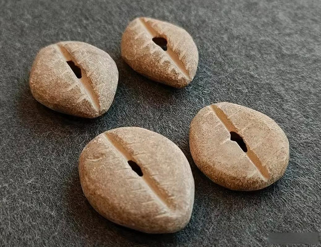 贝壳虚拟币(贝壳平台的贝壳币有什么用)