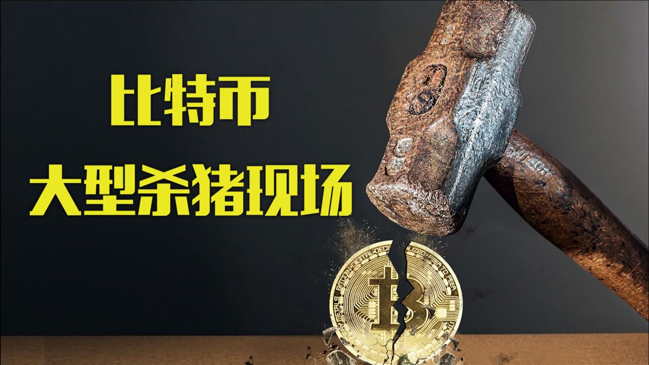 包含虚拟币开发shanzhaibikaifa的词条